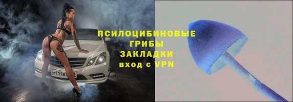 спайс Кулебаки