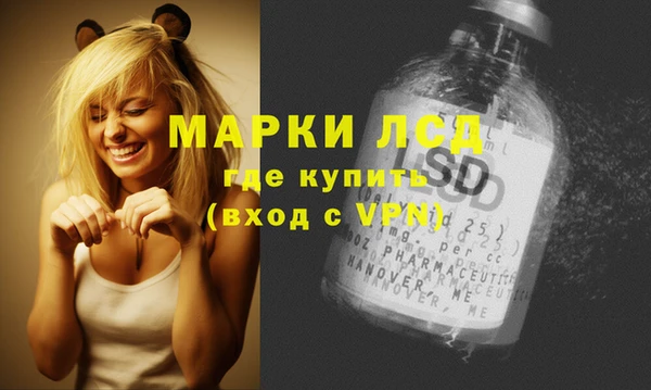 спайс Кулебаки