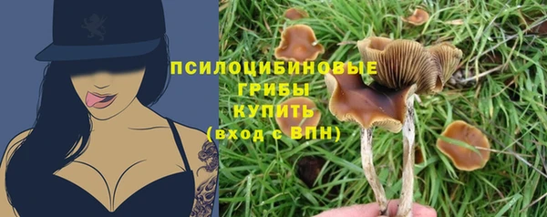 гашиш Корсаков