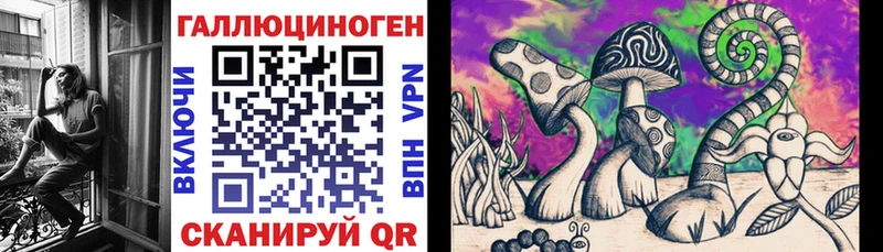 где купить   Лесозаводск  Галлюциногенные грибы Cubensis 