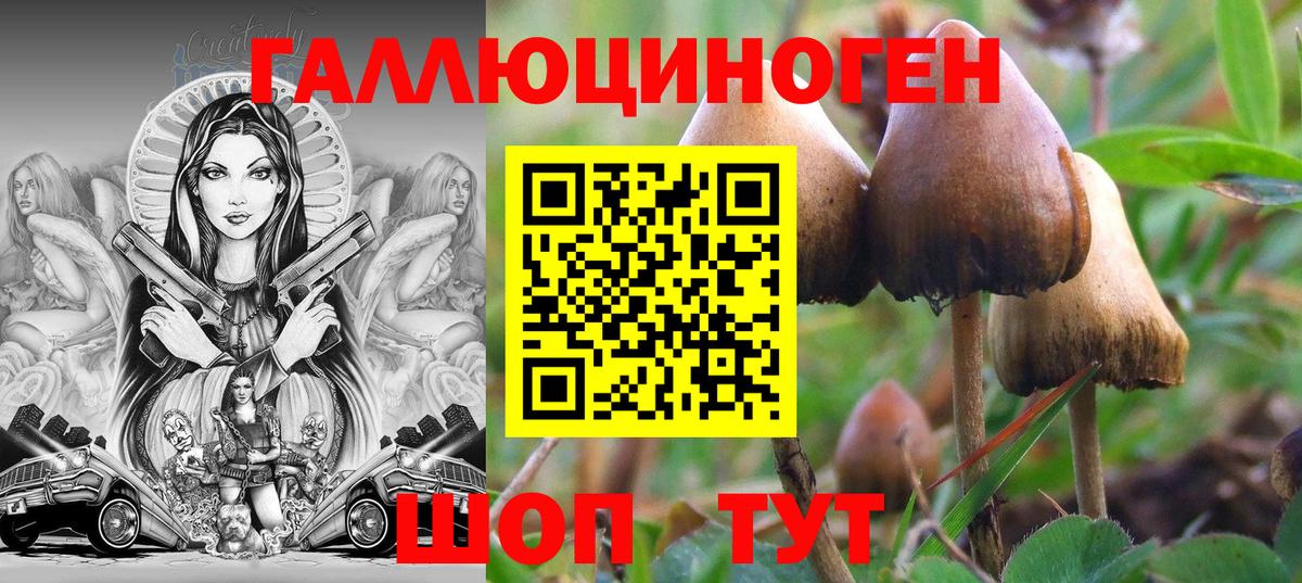 Псилоцибиновые грибы мухоморы Лесозаводск
