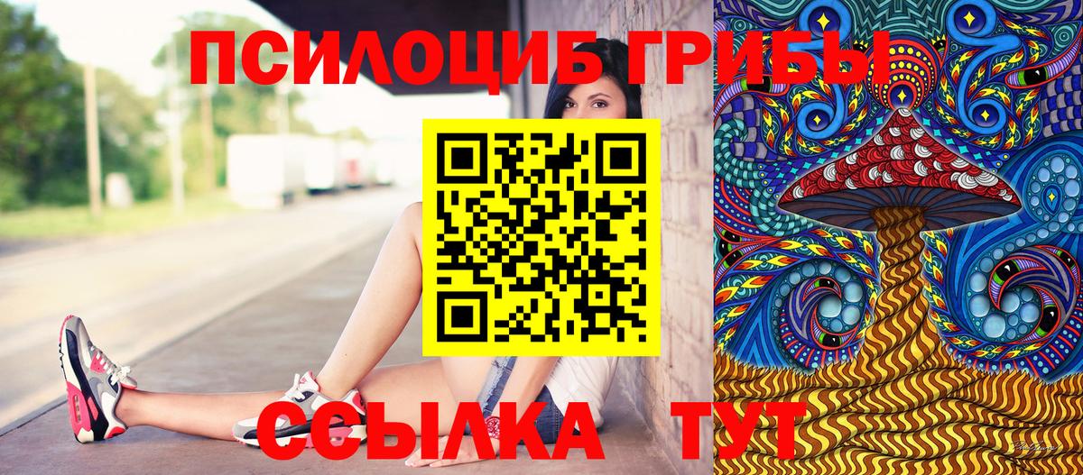 Лесозаводск  Псилоцибиновые грибы Psilocybe  Вход с VPN 